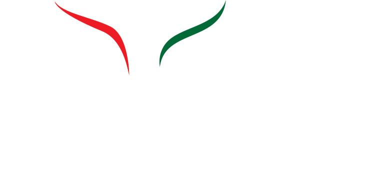 ssm-services-logo-title-white-w-sub